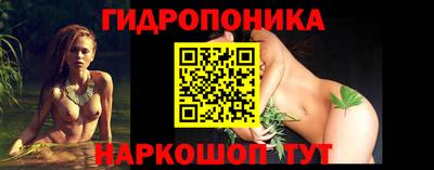 a pvp Пенза