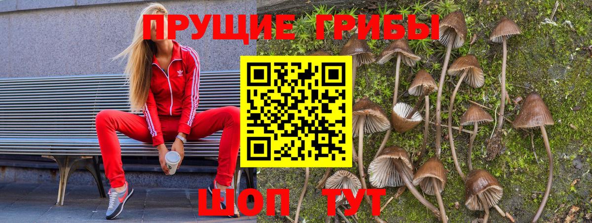 Псилоцибиновые грибы мухоморы  Галлюциногенные грибы Cubensis  Вход с VPN  Истра 